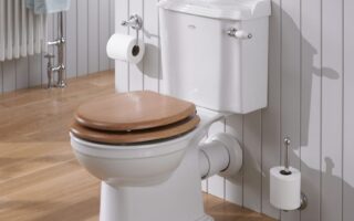 Clogged toilet with poop