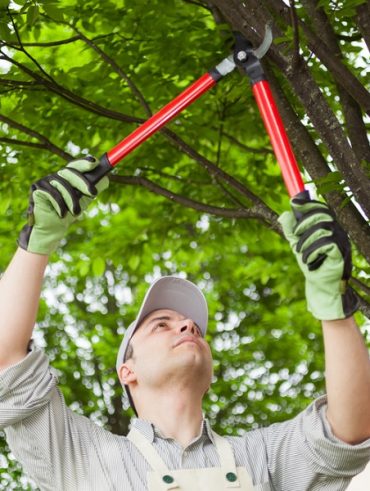 Smokymountaintreeservice